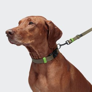 Hundehalsband BioThane Ipanema Olive-Neon Green