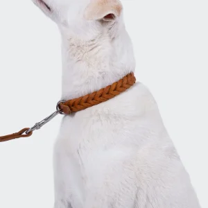 Hundehalsband Central Park Camel Silver